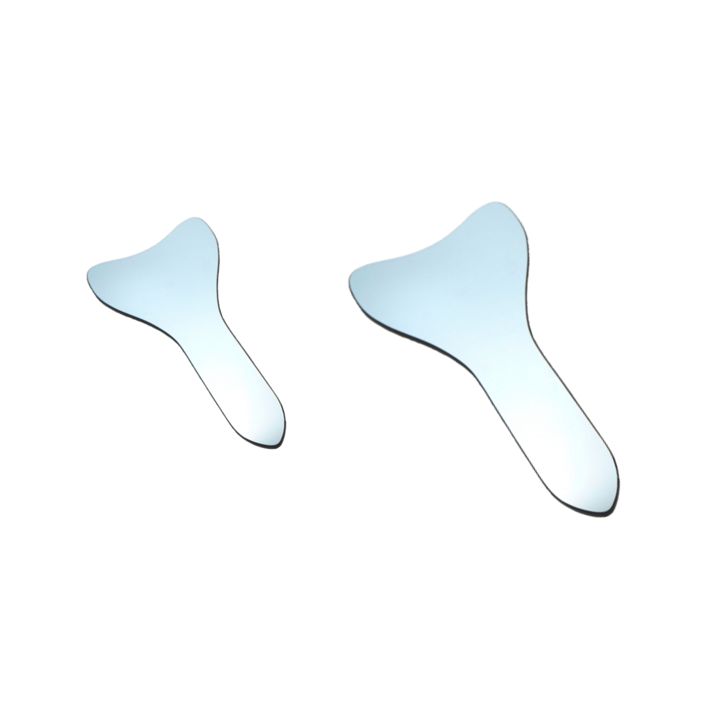 Miroir Bicuspid